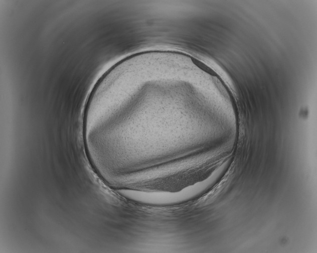 X0000095521004200801111432