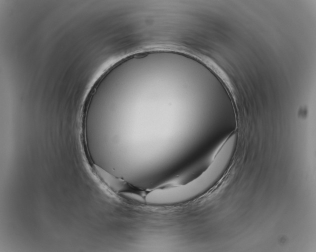 X0000095521005200801111432