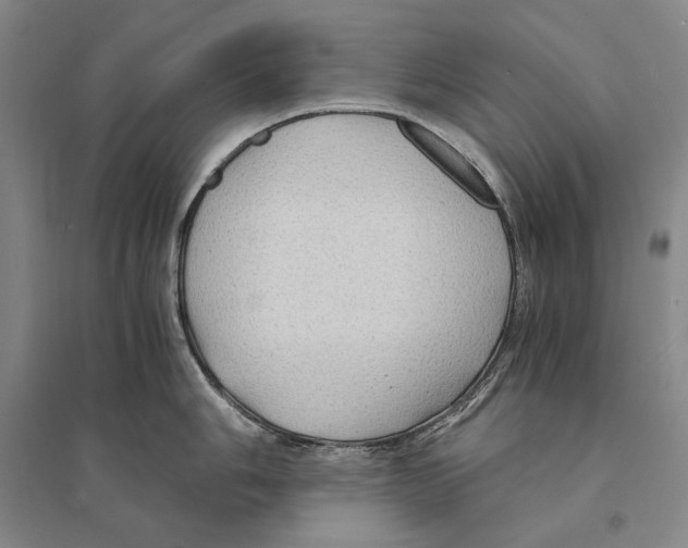 X0000095521006200801111432