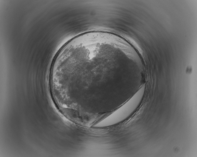 X0000095521007200801111432