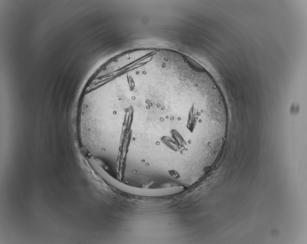 X0000095521008200801111431