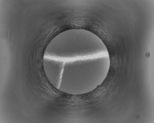 X0000095521009200801111431