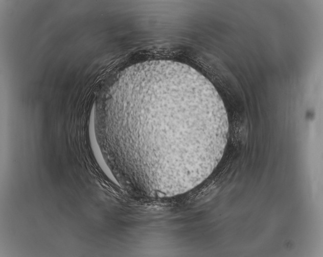 X0000095521010200801111431