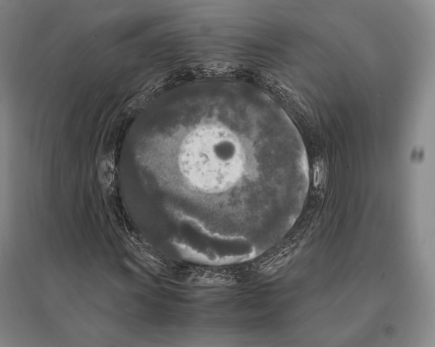 X0000095521011200801111431