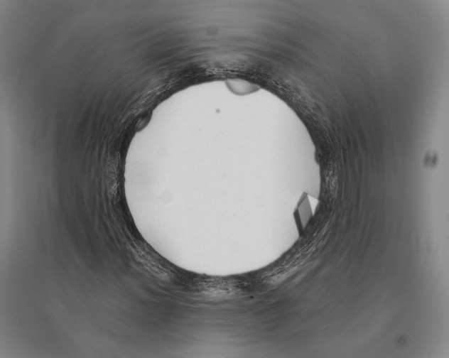 X0000095521012200801111431