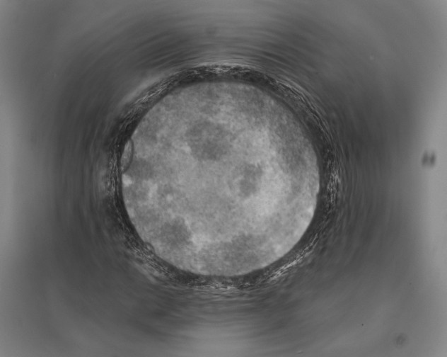 X0000095521014200801111431