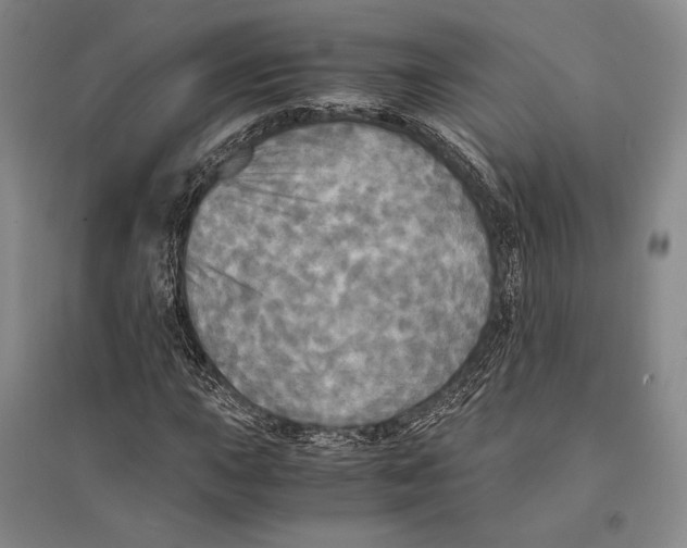 X0000095521015200801111431