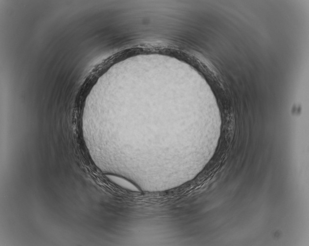 X0000095521016200801111431