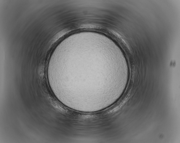 X0000095521017200801111431