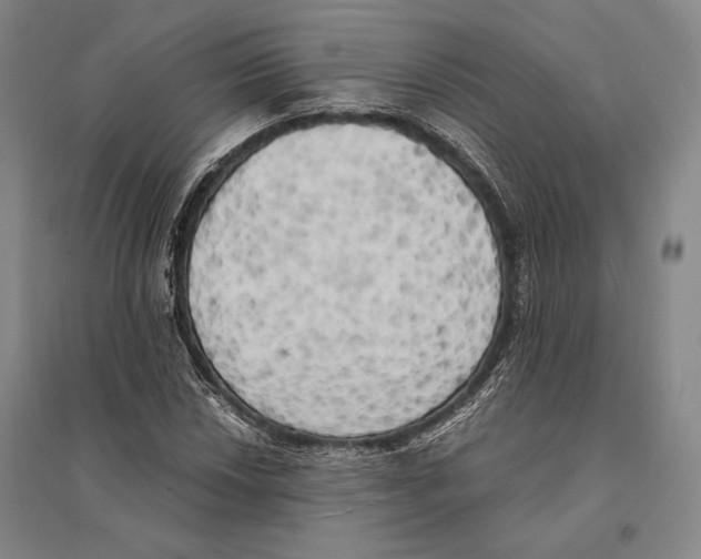 X0000095521018200801111431