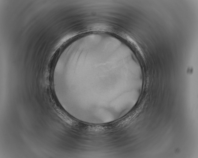 X0000095521019200801111431