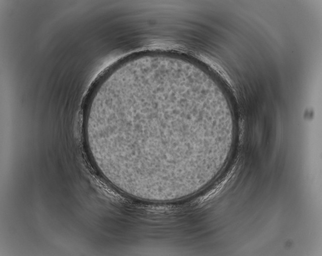 X0000095521021200801111431