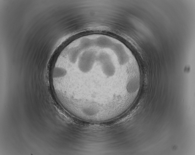 X0000095521022200801111431