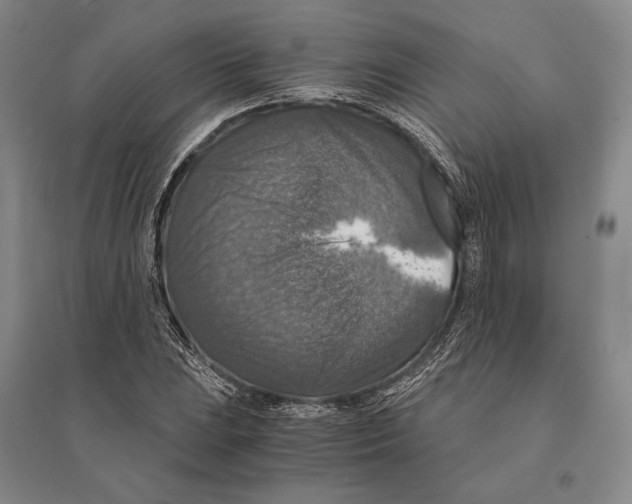 X0000095521023200801111431