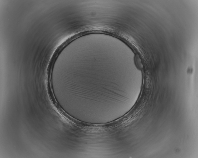 X0000095521024200801111431