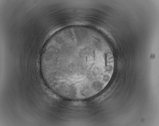 X0000095521025200801111431