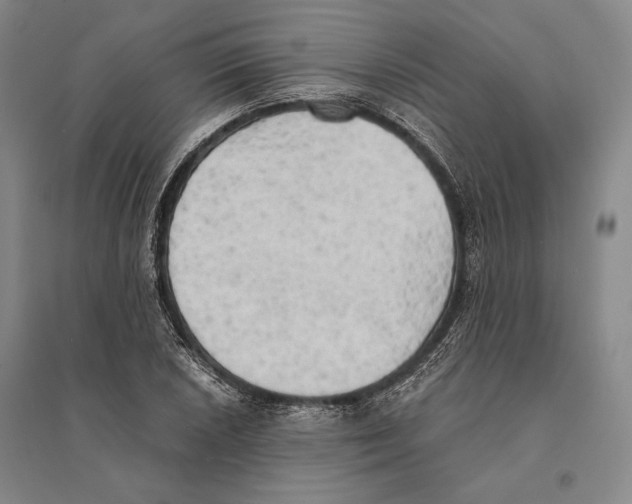 X0000095521026200801111431