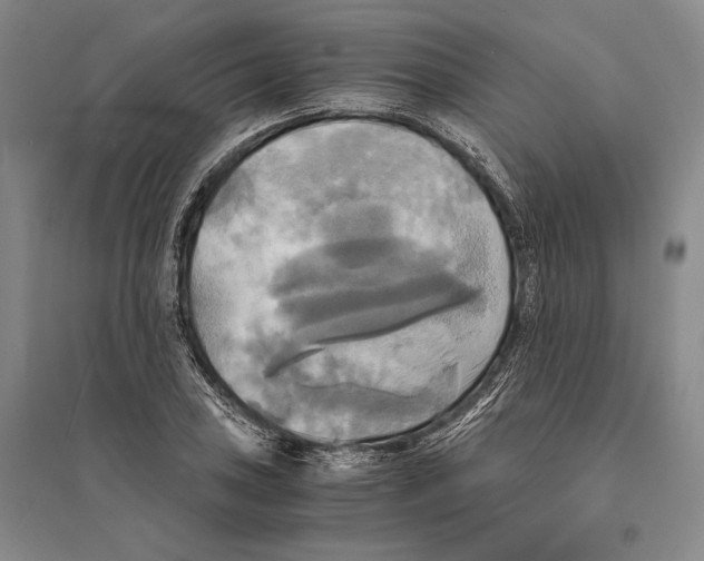 X0000095521027200801111431