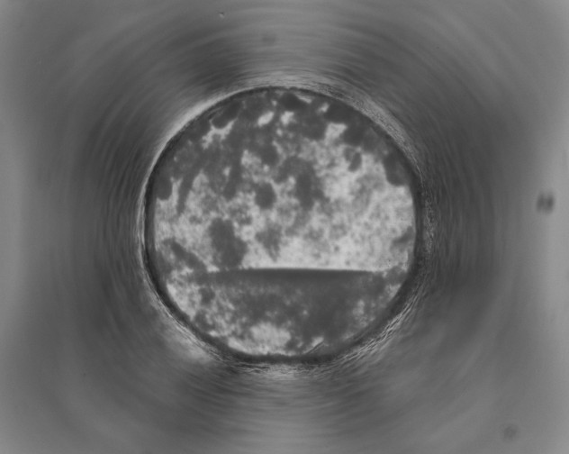 X0000095521028200801111431