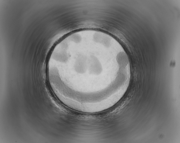 X0000095521030200801111431