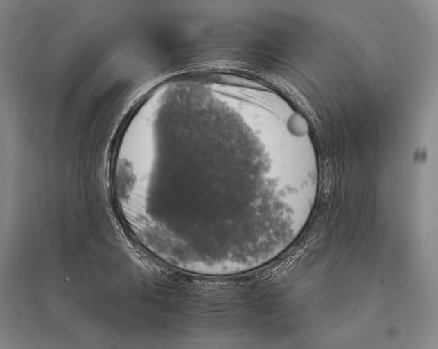 X0000095521031200801111431