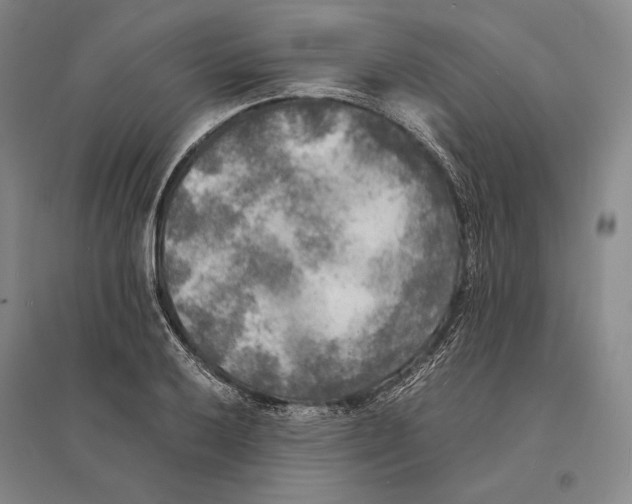 X0000095521032200801111431