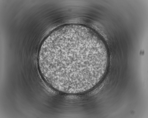 X0000095521033200801111431