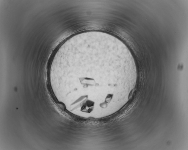 X0000095521034200801111431