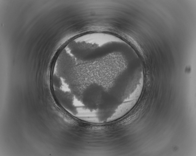 X0000095521035200801111431