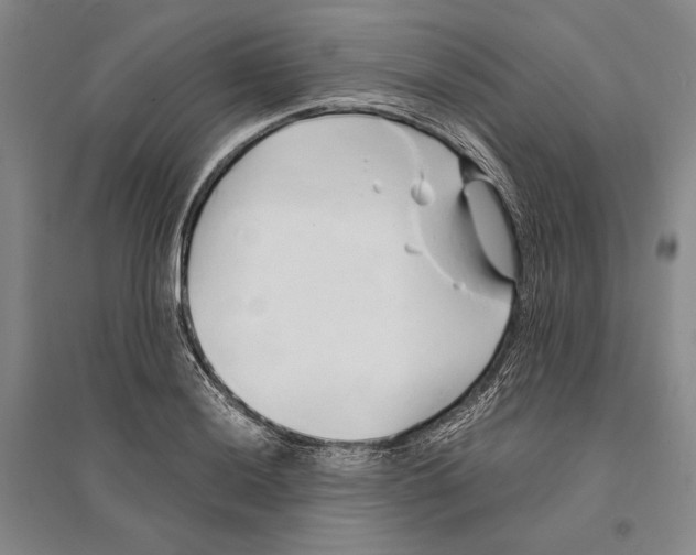 X0000095521036200801111431