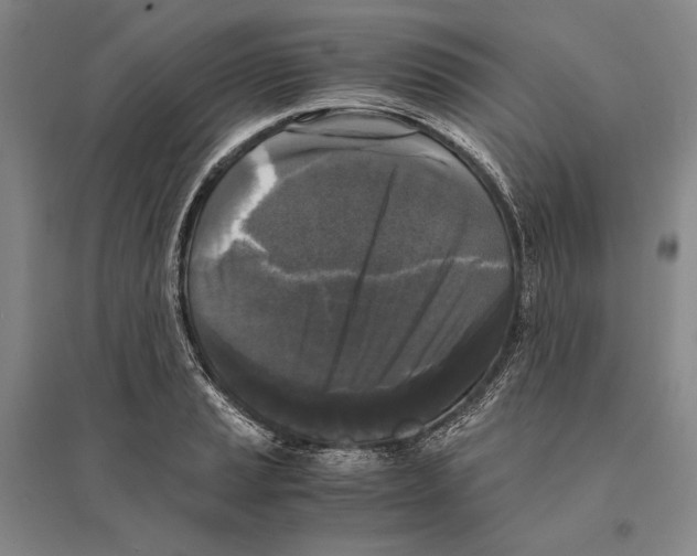 X0000095521037200801111431