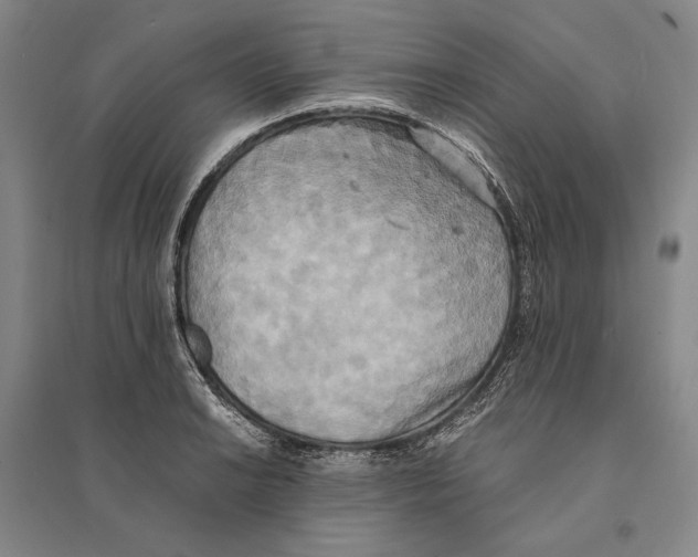 X0000095521038200801111431