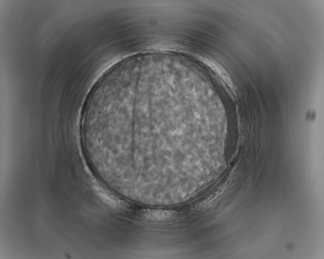 X0000095521039200801111431