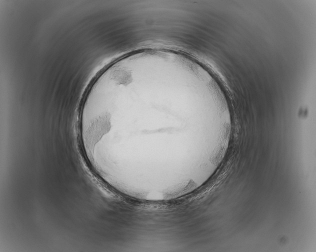 X0000095521040200801111431