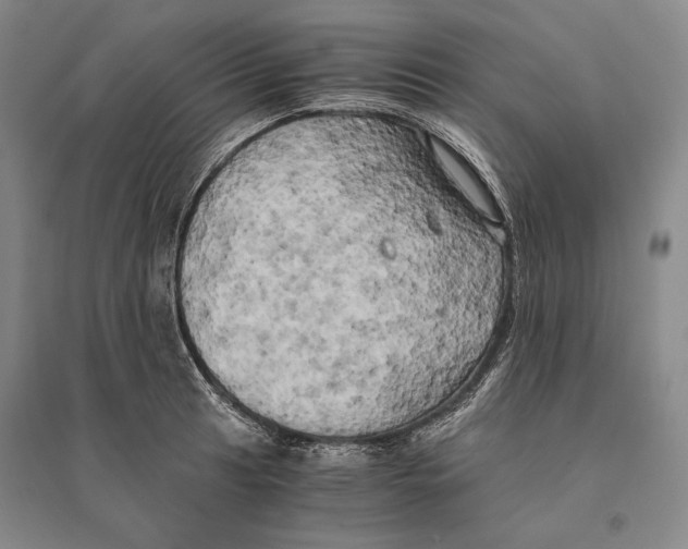 X0000095521041200801111431