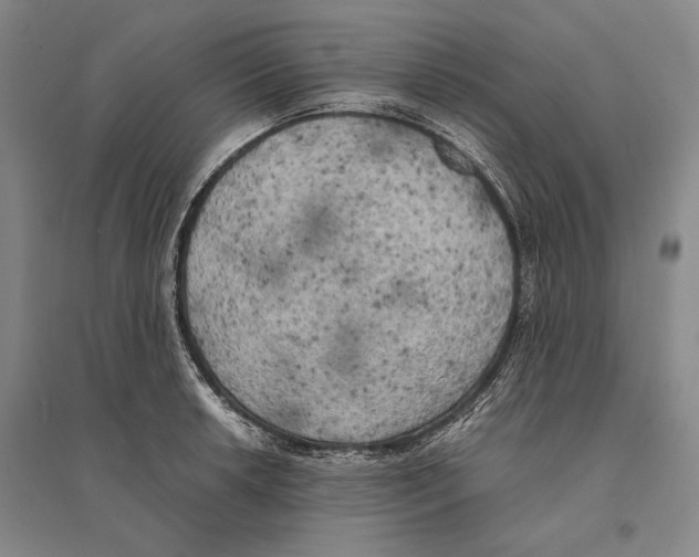 X0000095521042200801111431