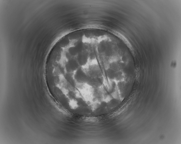 X0000095521043200801111431