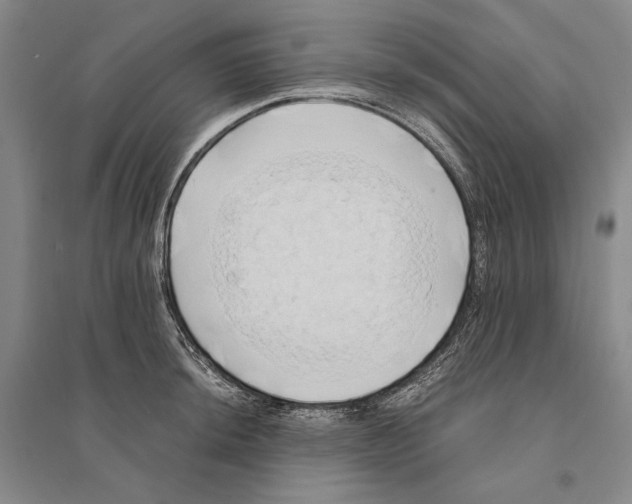 X0000095521044200801111431