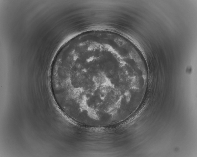 X0000095521045200801111431