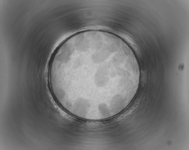 X0000095521046200801111431