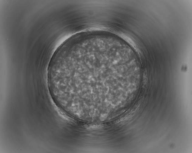 X0000095521047200801111431