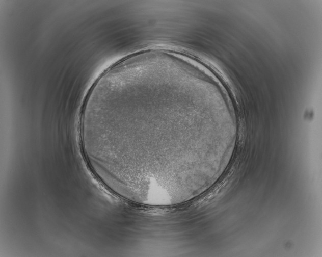 X0000095521048200801111431