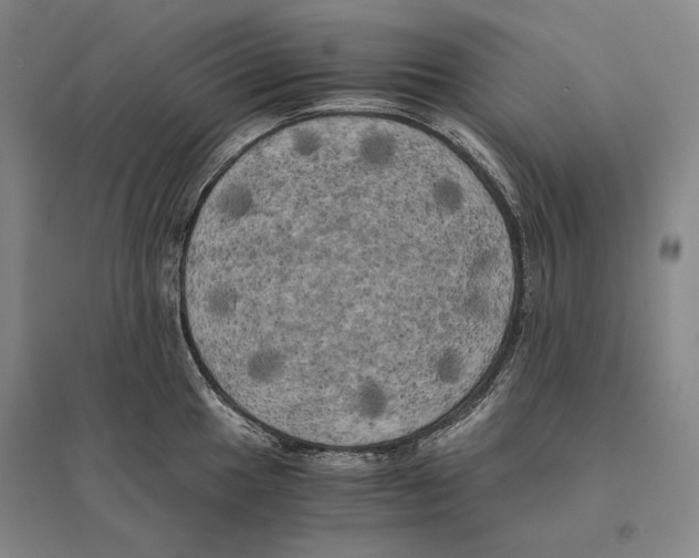 X0000095521049200801111431