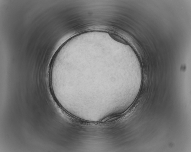 X0000095521050200801111431