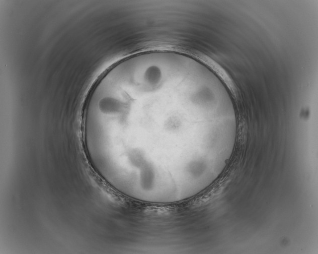 X0000095521051200801111431