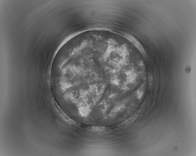 X0000095521052200801111431