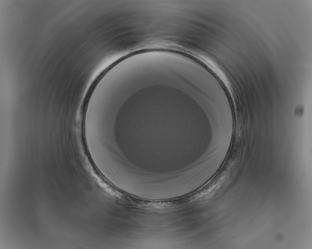 X0000095521053200801111431