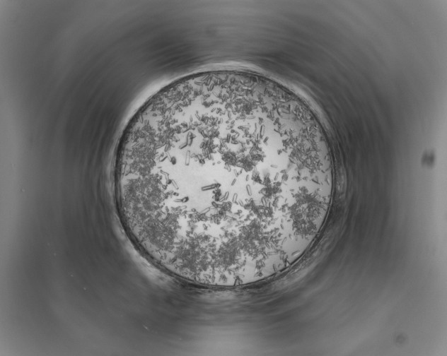 X0000095521054200801111431