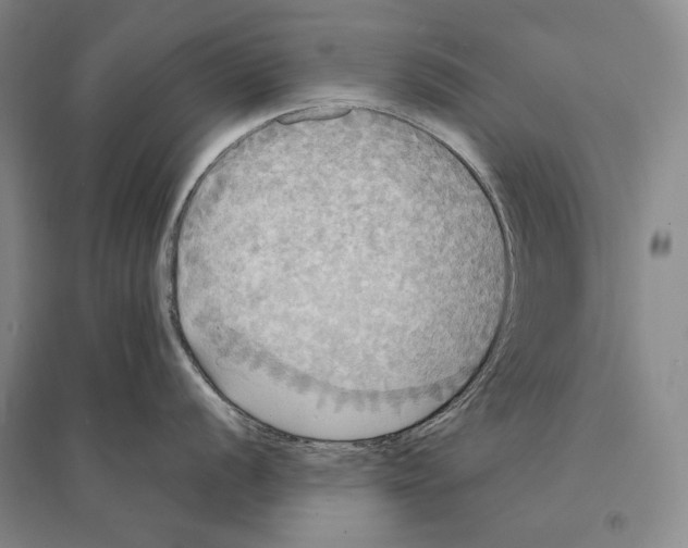 X0000095521056200801111431