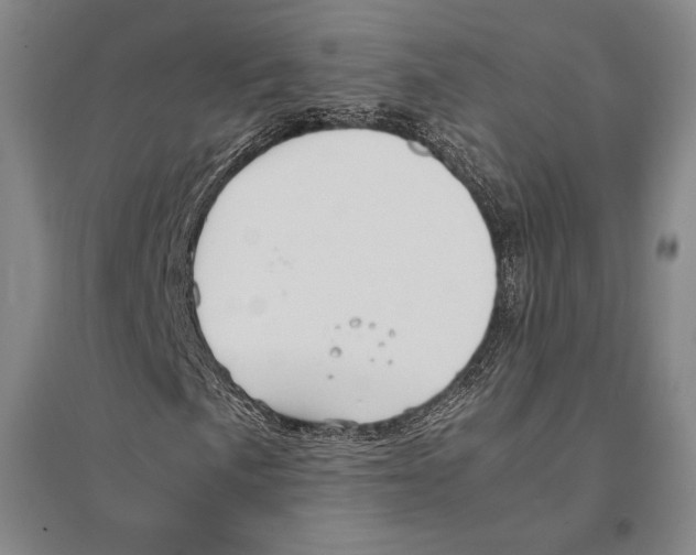 X0000095521057200801111431